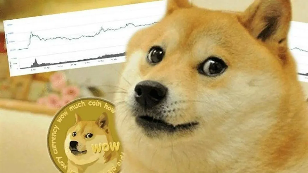 Dogecoin regalati da Elon Musk