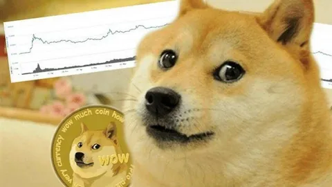 Dogecoin regalati da Elon Musk